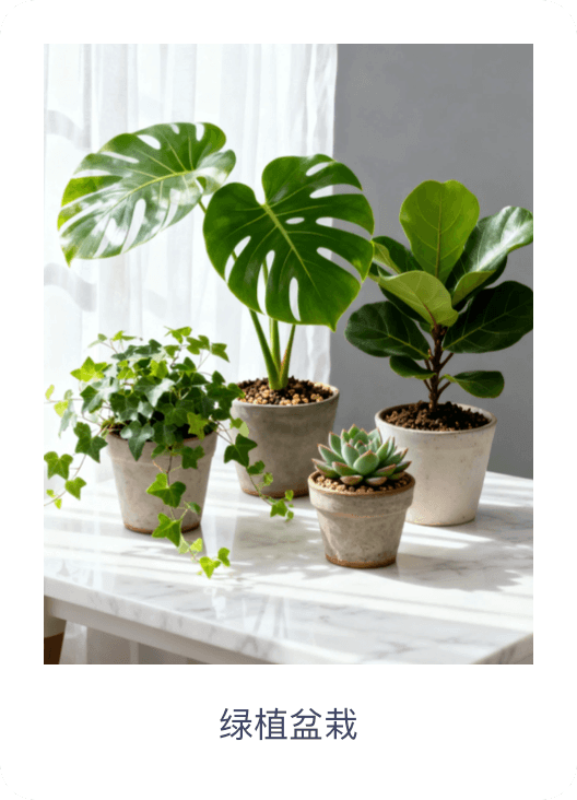 绿植